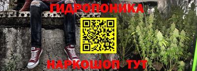 PSILOCYBIN Чебаркуль
